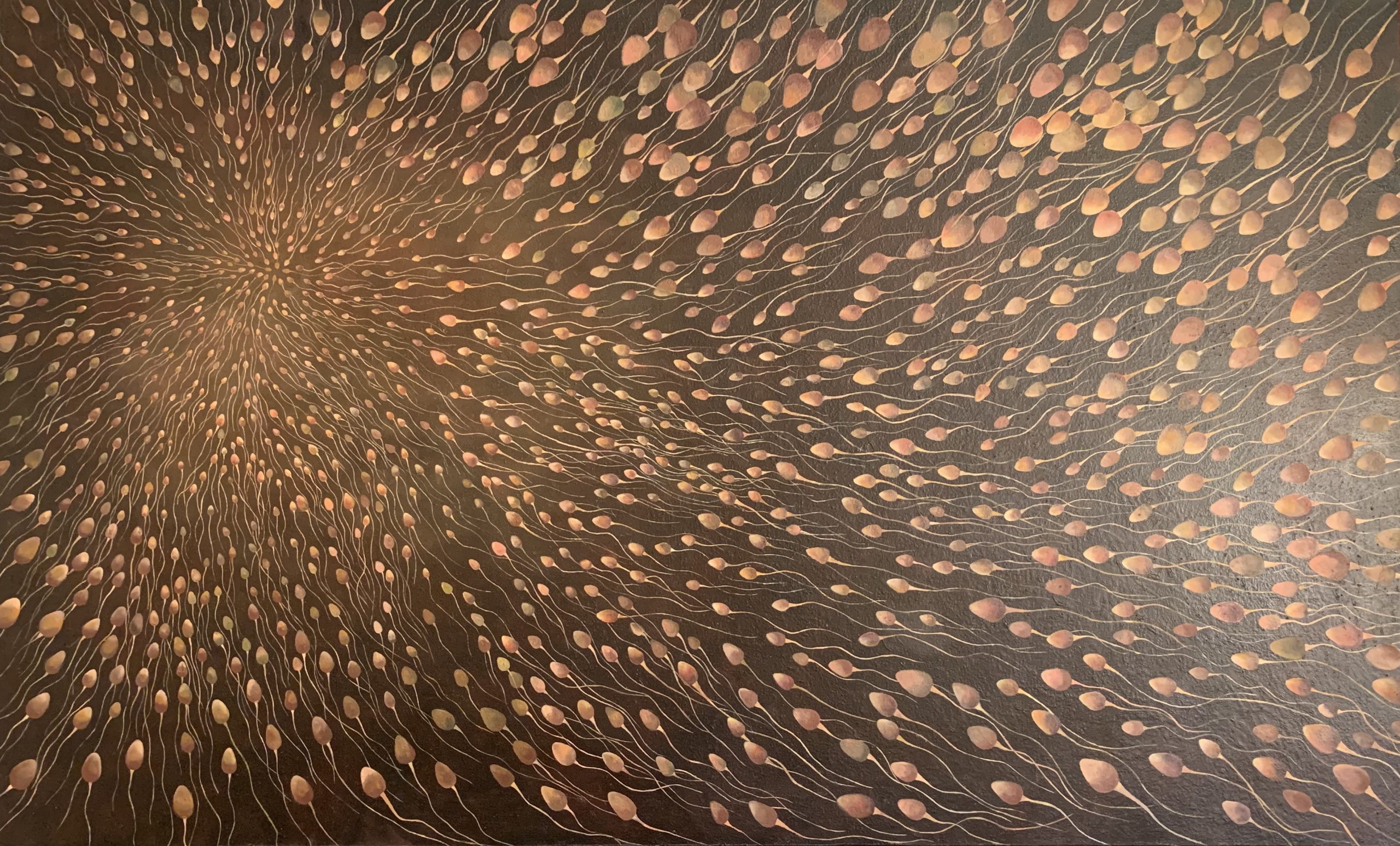 تحلیلی بر نمایشگاه نقاشی صفا امیر مقدم در گالری شکوه – فرید امین الاسلام