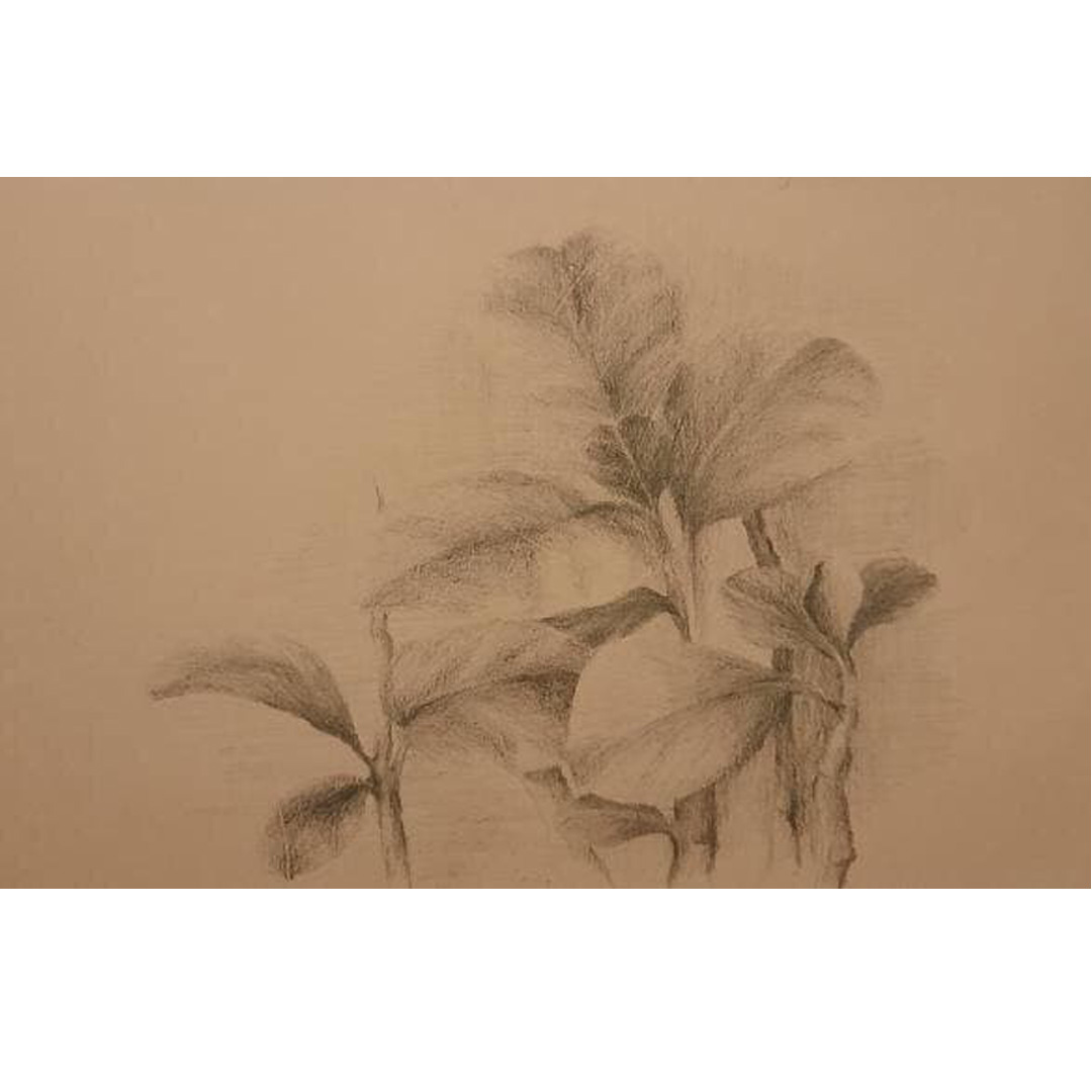 معرفی هنرمند : لعیا کشاورز