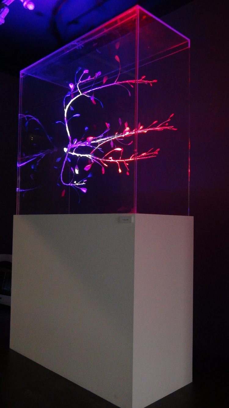 موفقیت یک هنرمند ایرانی در جشنواره Crypton در بارسلونا اسپانیا ۲۰۱۹