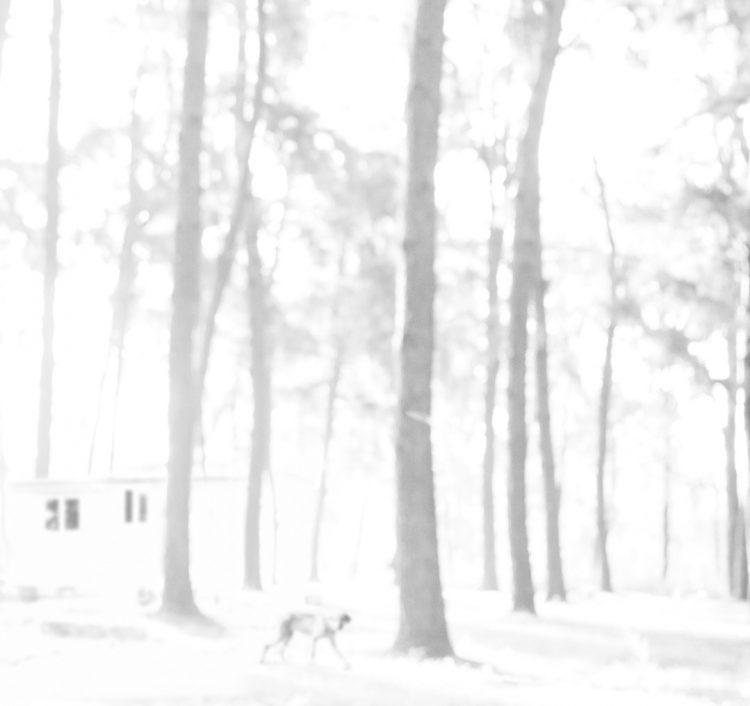 واقعیت؛ امری بدیهی و غیرقابل انکار- حقیقت؛ باوری تغییرپذیر