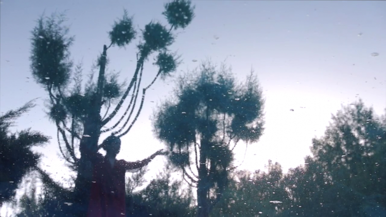 نگاهی به نمایشگاه ویدیو آرت “آب” به کیوریتوری فرید امین‌­الاسلام در گالری نگر